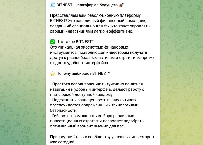 BitNest 