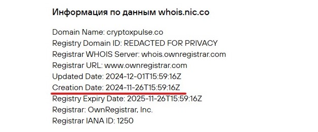 CryptoPulse 