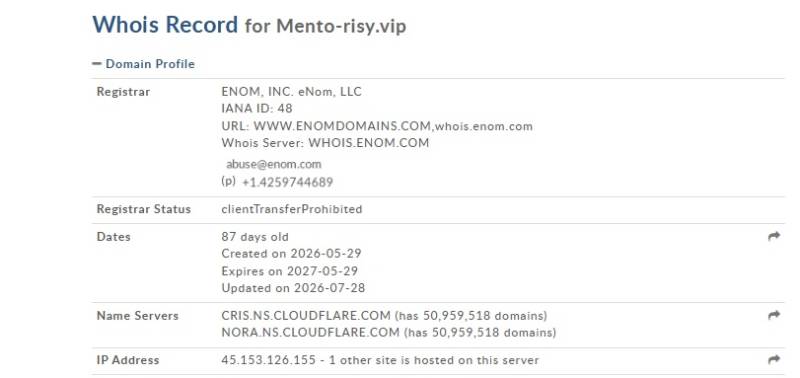 Mentorisy