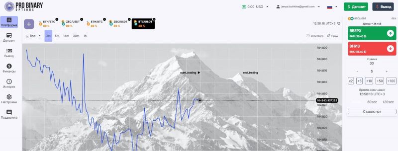 Pro Binary Options 