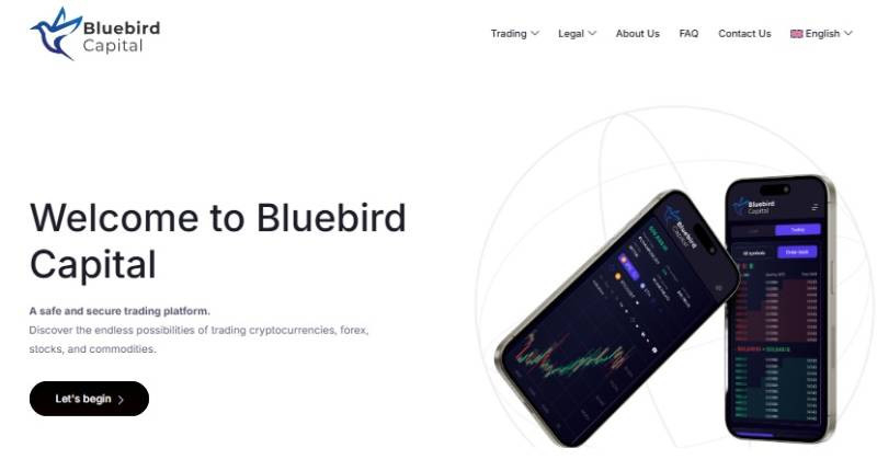 Bluebird Capital logo
