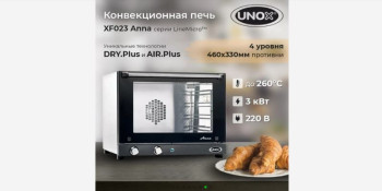 Ocozocut